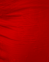 IMG_8983.webp